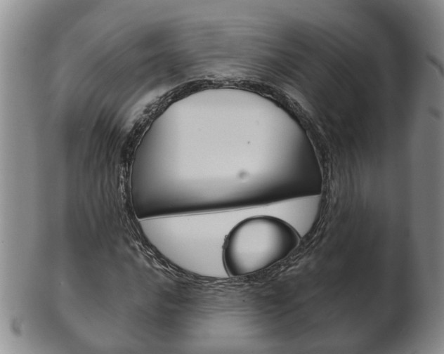 X0000102511016200808081002