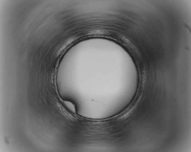 X0000102511017200808081002