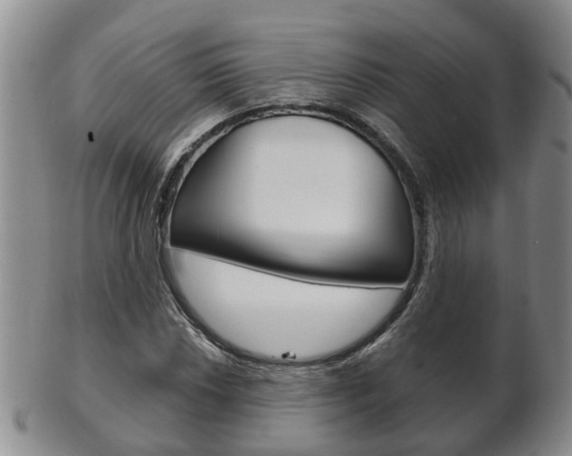 X0000102511018200808081002