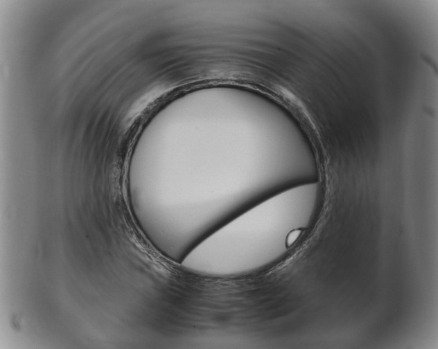 X0000102511019200808081002