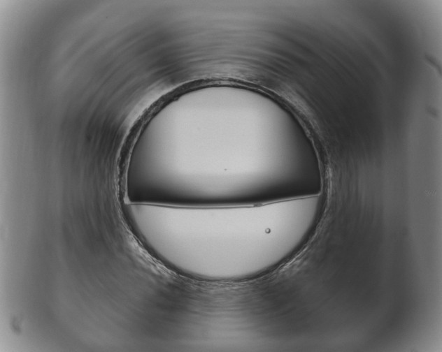 X0000102511020200808081002