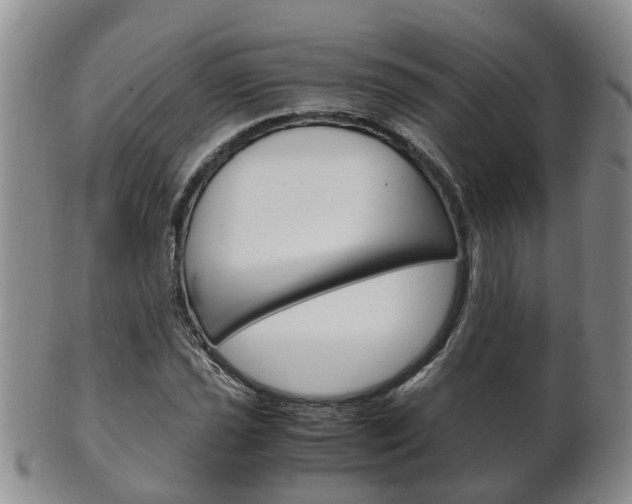 X0000102511021200808081002