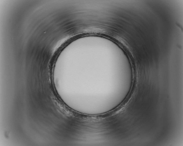 X0000102511022200808081002