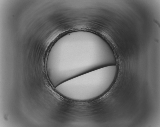 X0000102511023200808081002