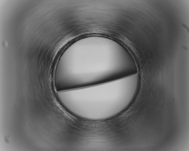 X0000102511024200808081002