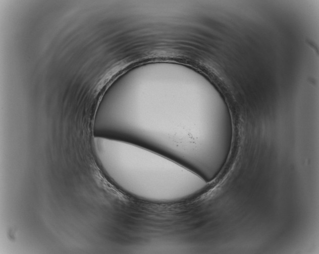 X0000102511025200808081002
