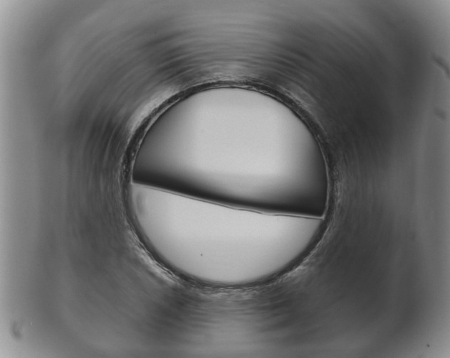 X0000102511026200808081002