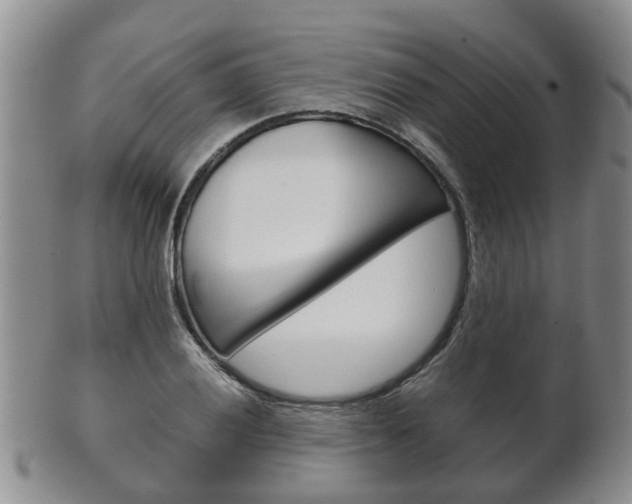 X0000102511028200808081002