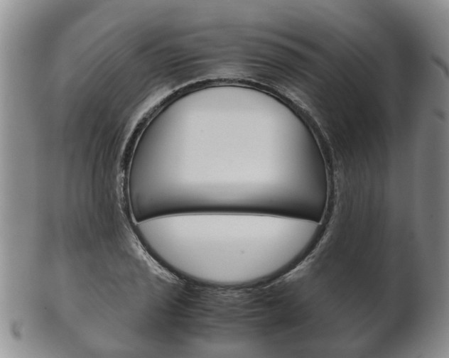 X0000102511029200808081002