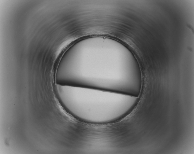 X0000102511030200808081002