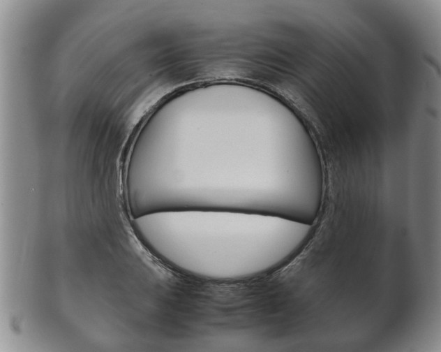 X0000102511031200808081002