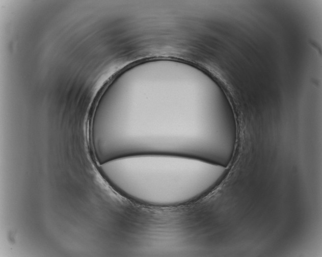 X0000102511032200808081002