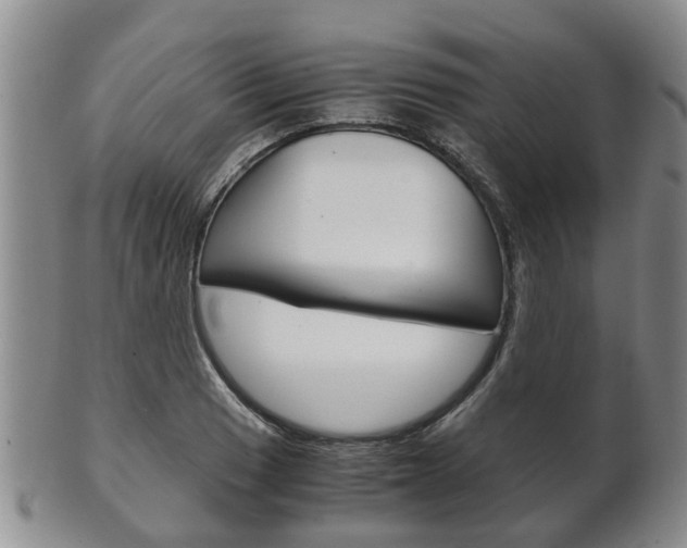 X0000102511033200808081002