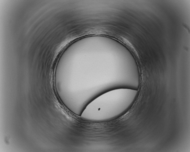 X0000102511035200808081002