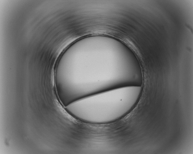 X0000102511036200808081002