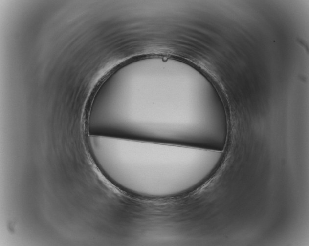 X0000102511037200808081002