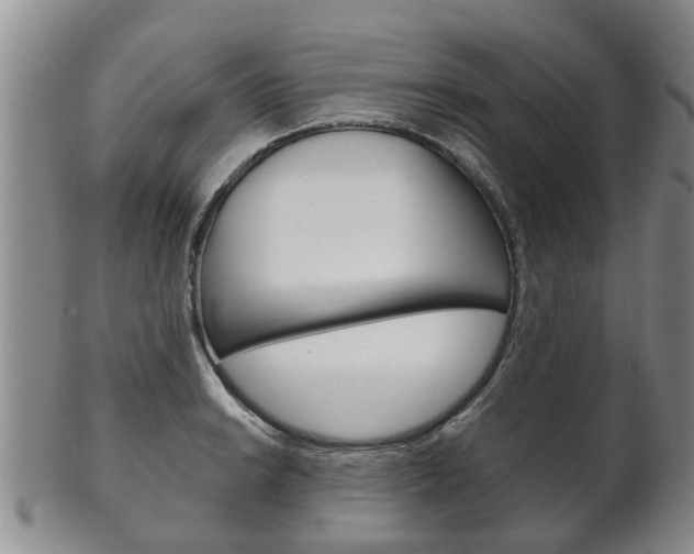 X0000102511038200808081002