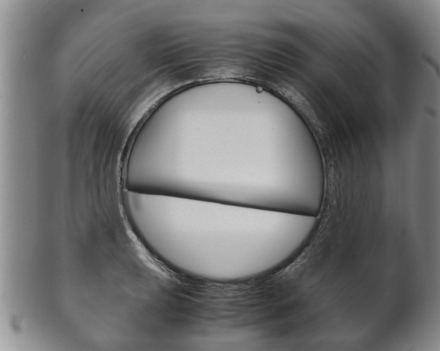 X0000102511039200808081002