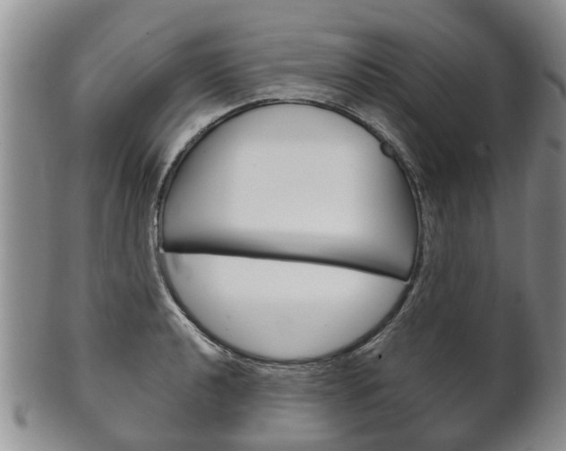 X0000102511040200808081002