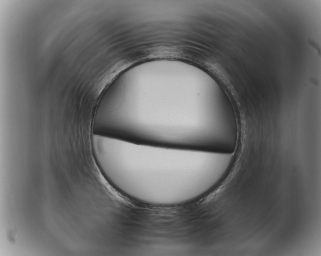 X0000102511041200808081002