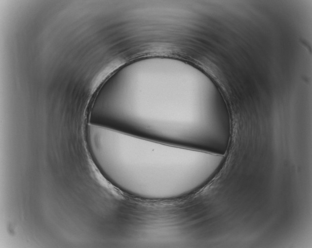 X0000102511042200808081002