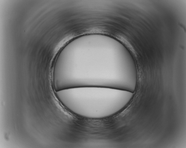 X0000102511043200808081002