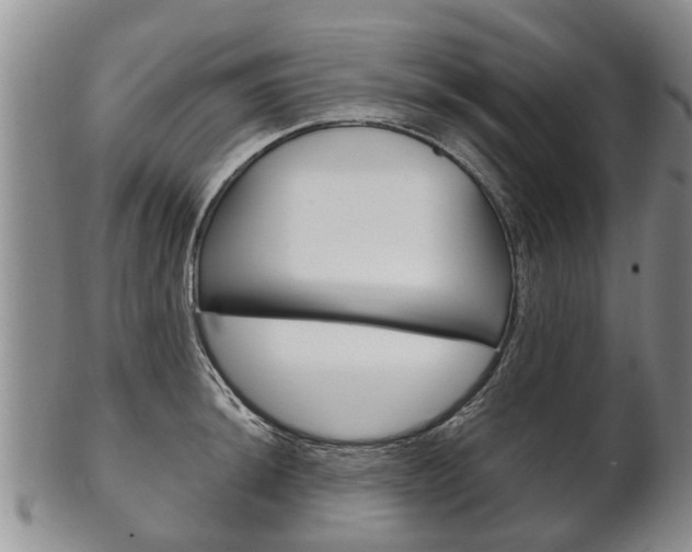 X0000102511044200808081002