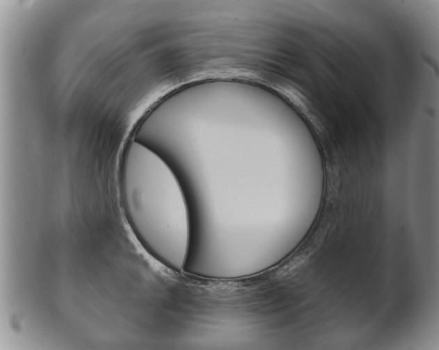 X0000102511046200808081002