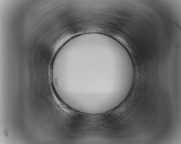 X0000102511047200808081002