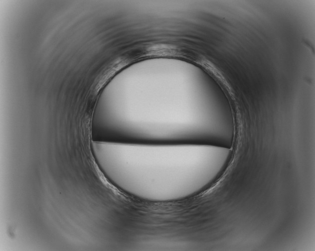 X0000102511049200808081002