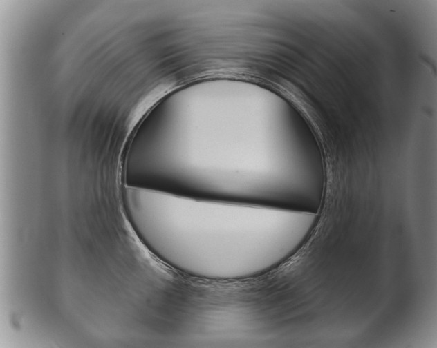 X0000102511050200808081002