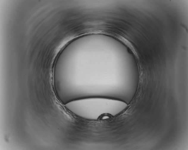 X0000102511051200808081002