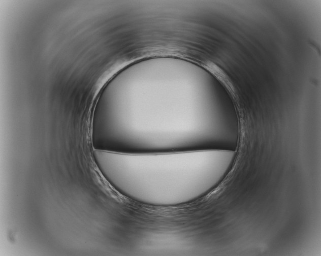 X0000102511052200808081002