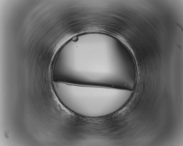 X0000102511053200808081002