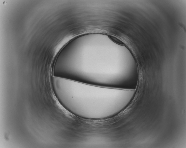 X0000102511054200808081002