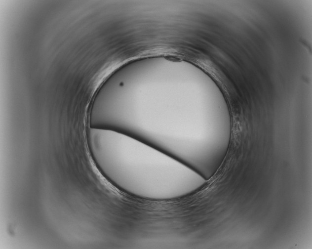 X0000102511055200808081002