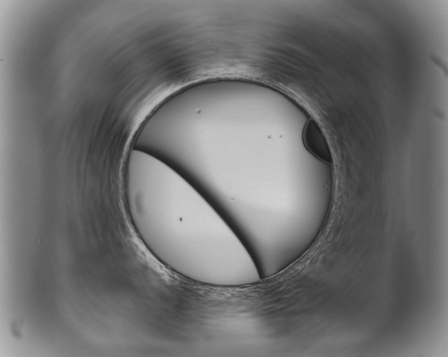 X0000102511056200808081002