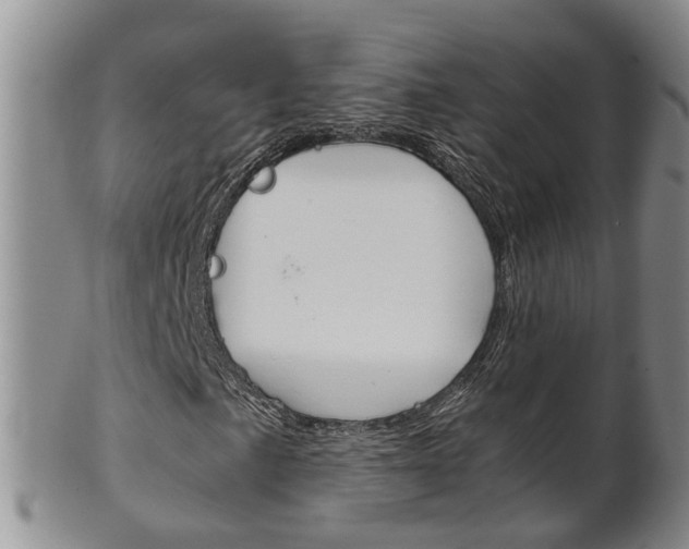 X0000102511057200808081002