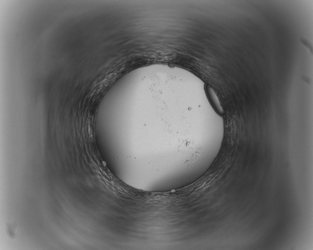 X0000102511058200808081002