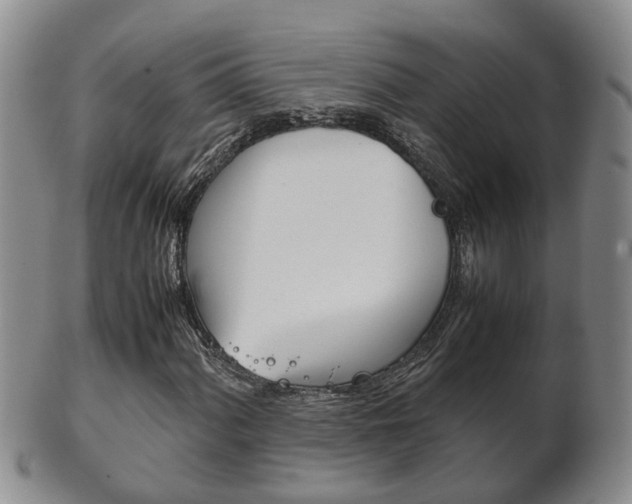 X0000102511060200808081002