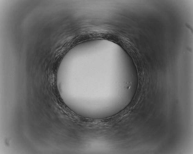 X0000102511061200808081002