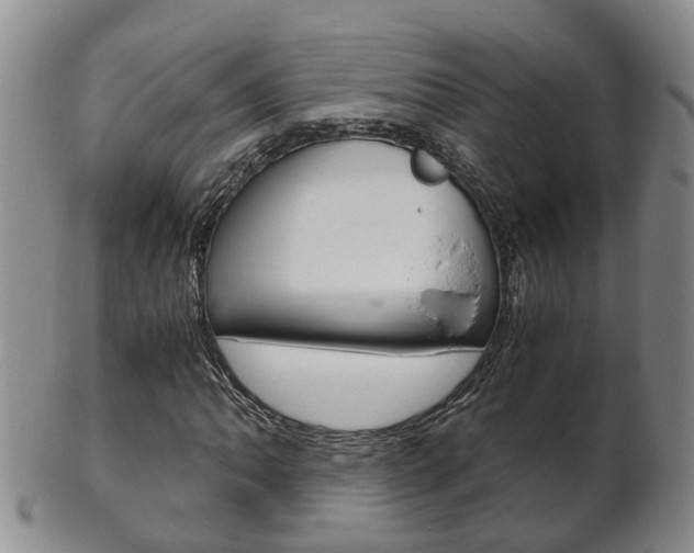 X0000102511062200808081002
