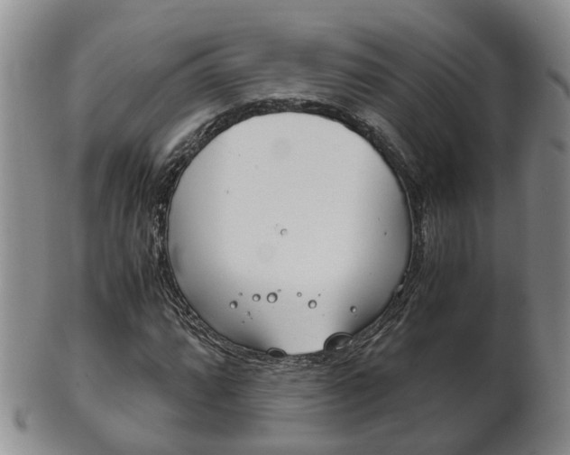X0000102511064200808081002