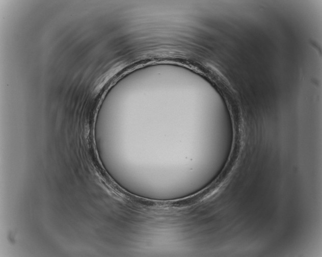 X0000102511065200808081002