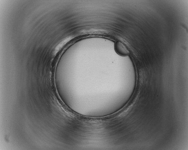 X0000102511066200808081002