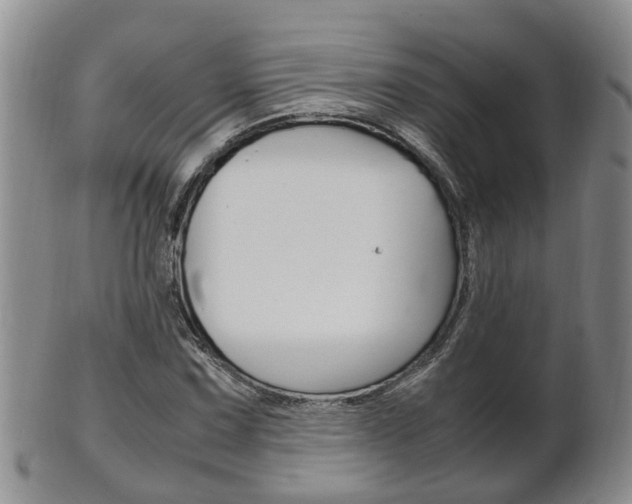 X0000102511067200808081002