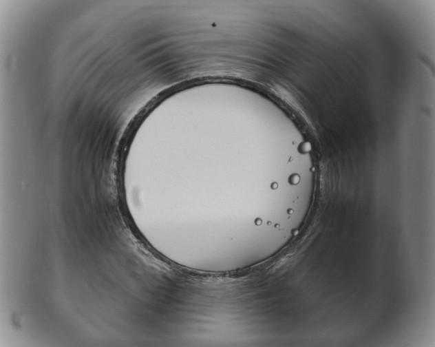 X0000102511068200808081002