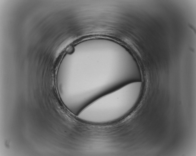 X0000102511069200808081002