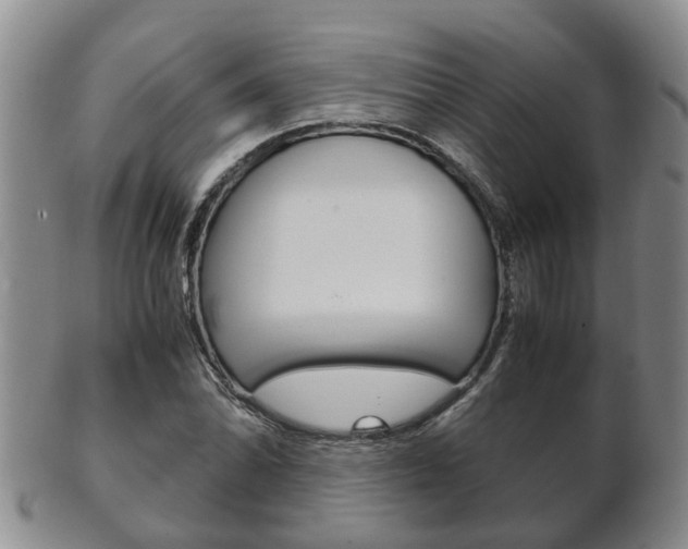 X0000102511070200808081002