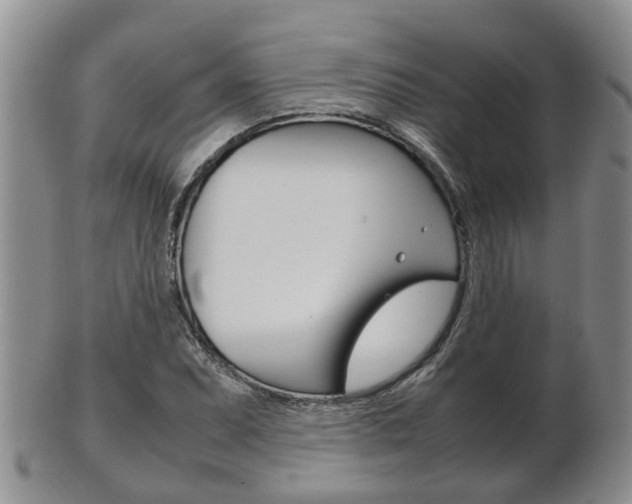 X0000102511071200808081002